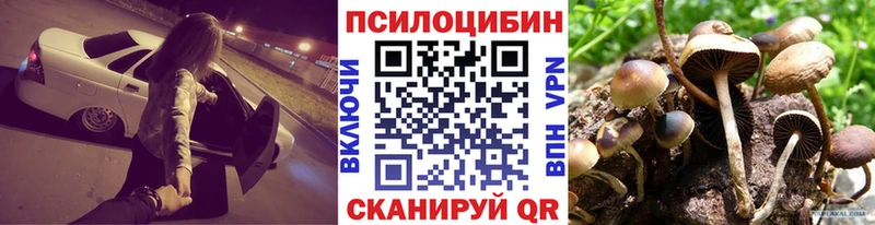 Галлюциногенные грибы MAGIC MUSHROOMS  закладка  Николаевск 